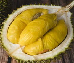 Fresh Durian