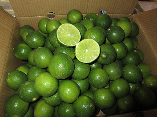 Fresh Lime
