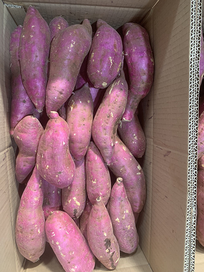 Sweet Potato