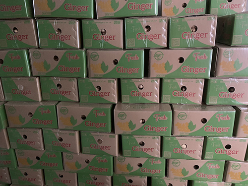 Fresh Produce