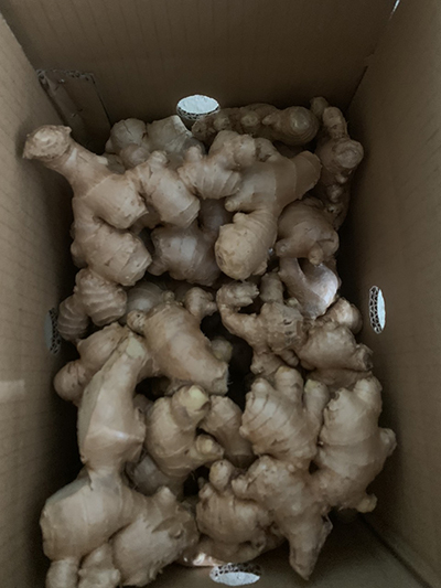 Fresh Produce