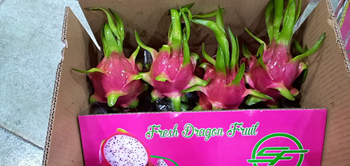 Fresh Produce