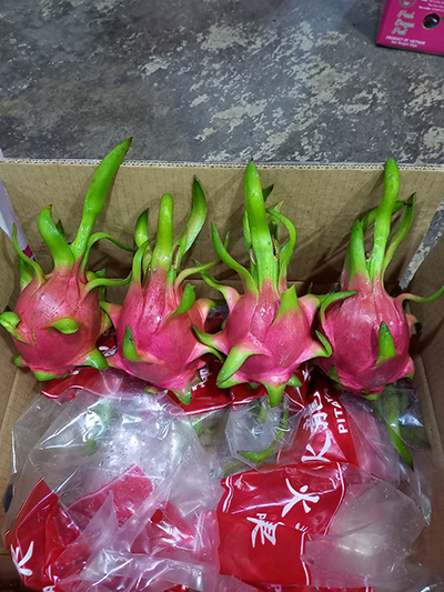 Fresh Produce