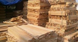 Acacia Wood
