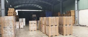 Acacia Wood
