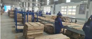 Acacia Wood