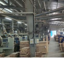 Acacia Wood