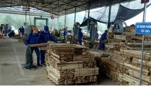 Acacia Wood