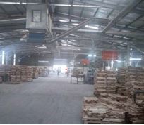 Acacia Wood