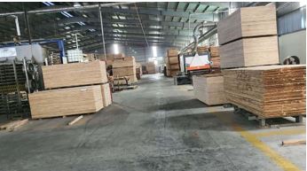 Acacia Wood