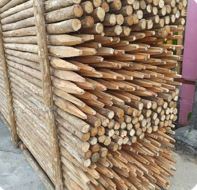 Acacia Wood