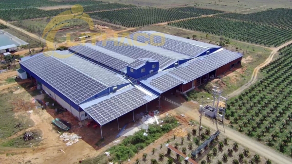 Hoang Hau Thanh Long Farm