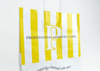 Paper bag