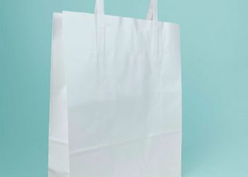 Paper bag