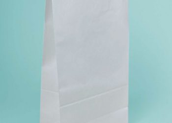 Paper bag