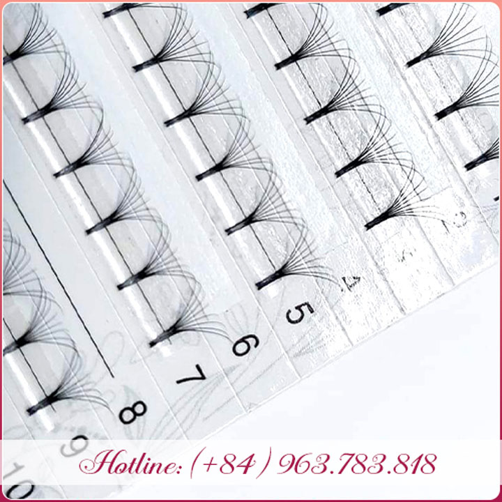 Fan lashes