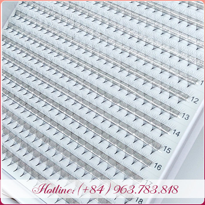 Fan lashes