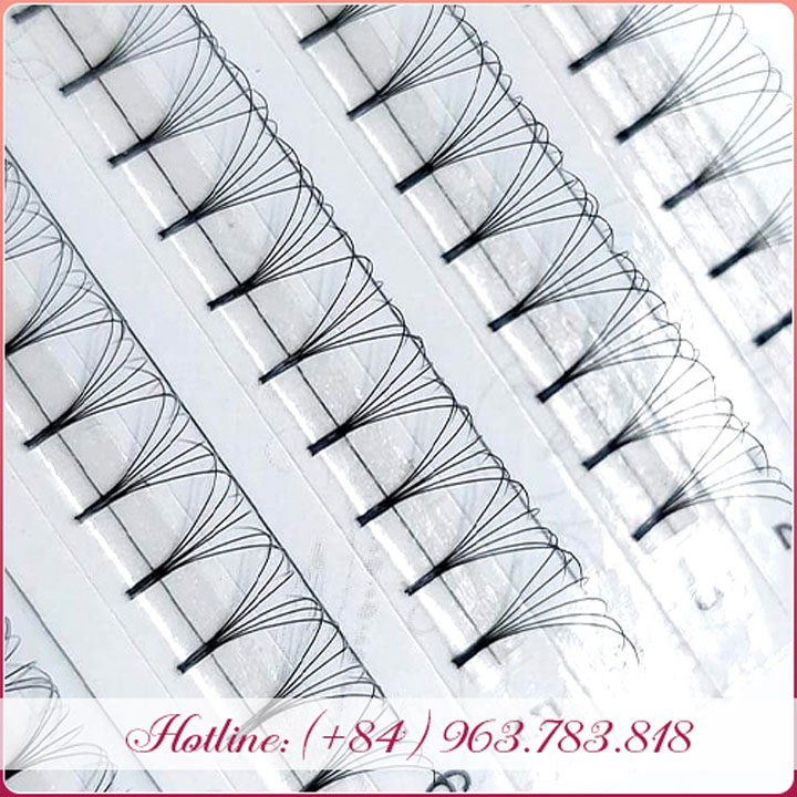 Fan lashes