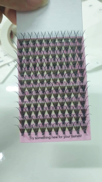Cluster eyelashes extension