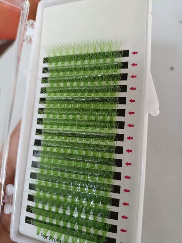 Cluster eyelashes extension