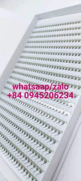 Fan lashes