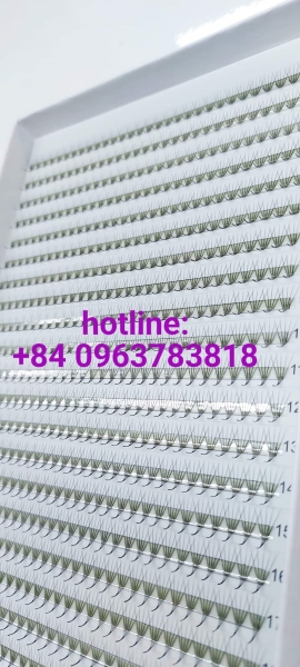 Volume eyelashes