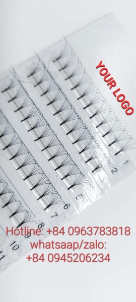 Volume eyelashes