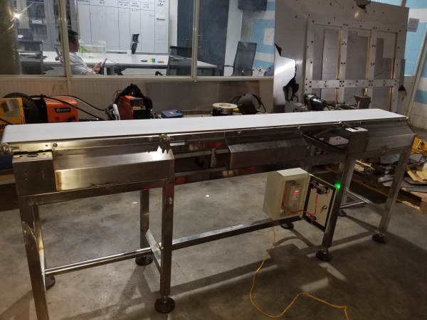 Stainless Steel Conveyor