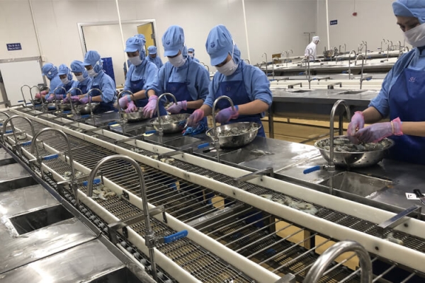 Aluminum Pre-processing Conveyor