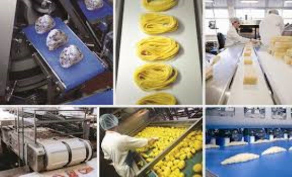 Food Conveyor
