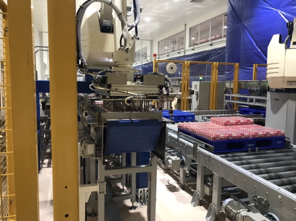 Plastic Chain Conveyor
