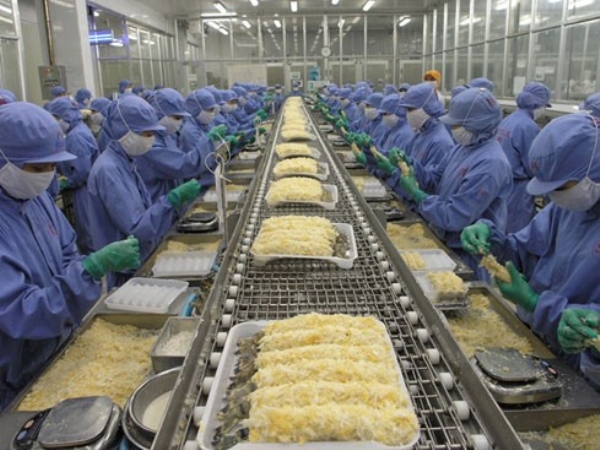 Conveyor For Seafood