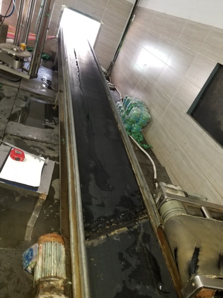 Conveyor Repair And Upgrade Services