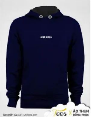 Le Hong Phong High school hoodie