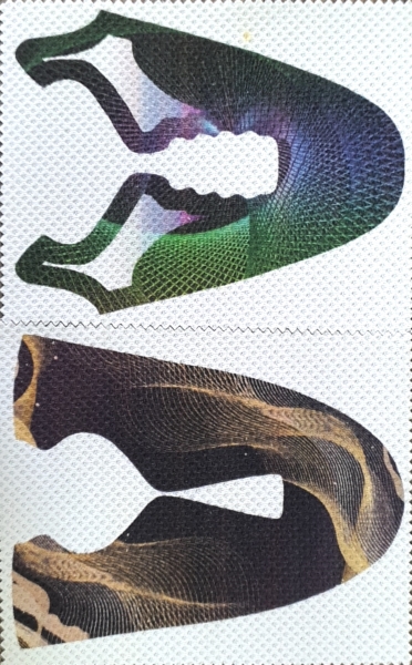 Shoe Printing