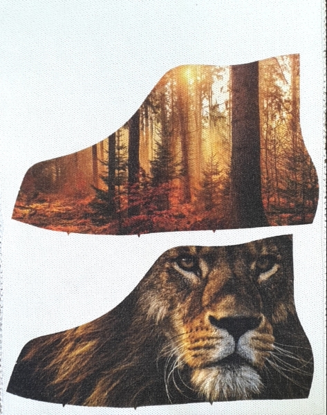Shoe Printing