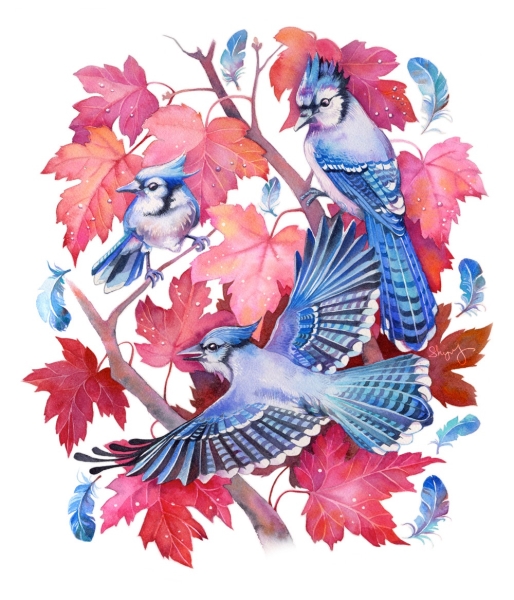 Print On All Type Of Fabric