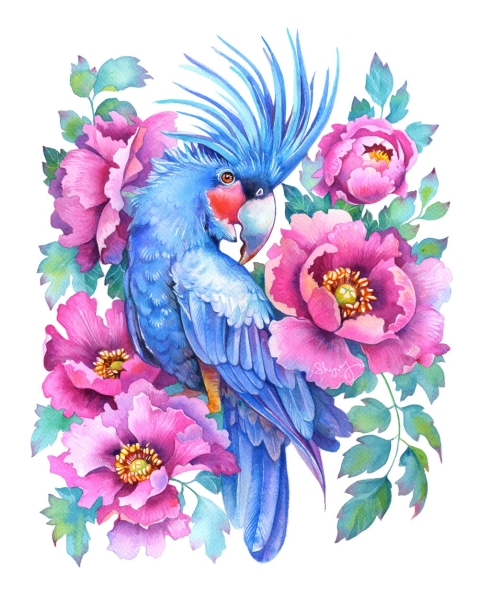 Print On All Type Of Fabric