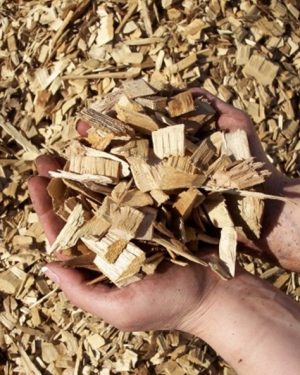 Wood chip