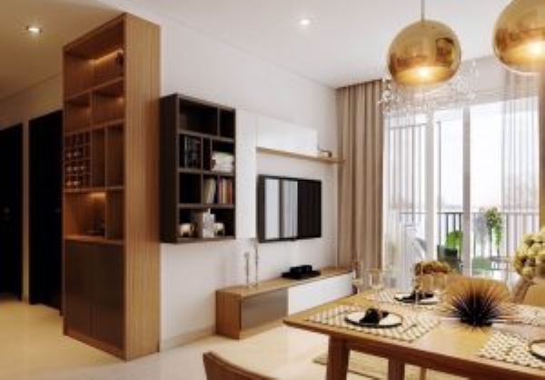 Living room design and construction