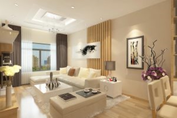 Living room design and construction