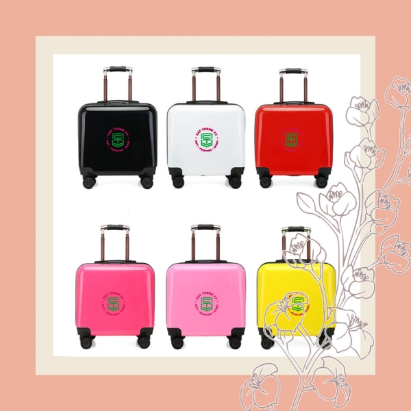 Mini suitcase