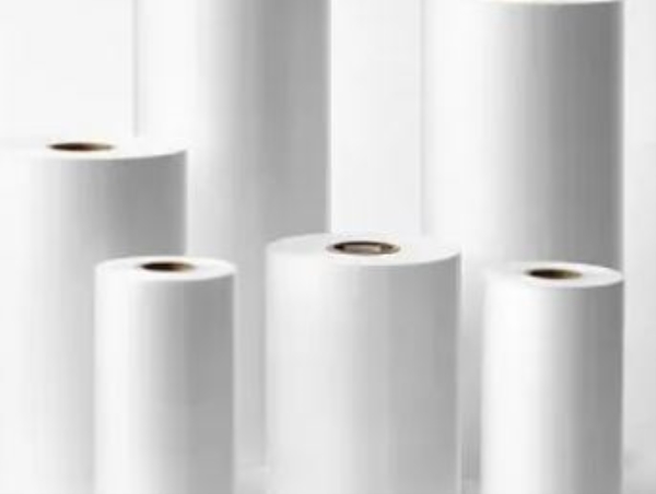 Packaging Roll (BOPP & PP Roll)