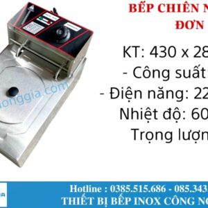 Single deep fryer