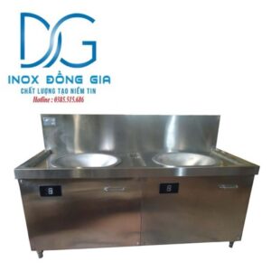 Double induction cooker