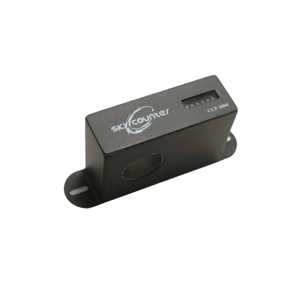 CCF 2004 China Lightning Strike Counter