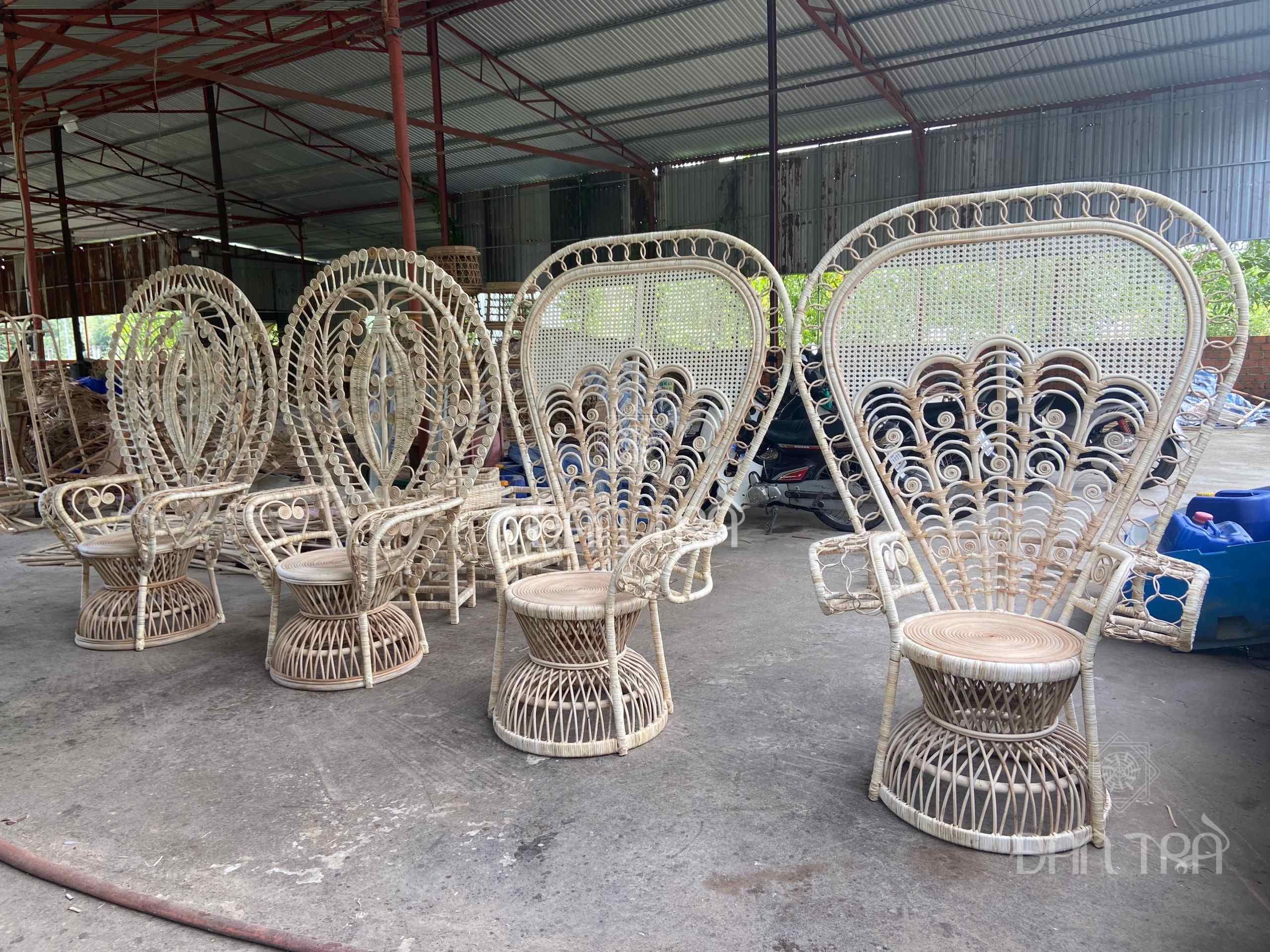 Peacock rattan chair