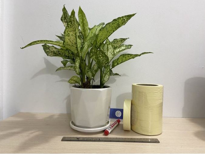 Paper tape