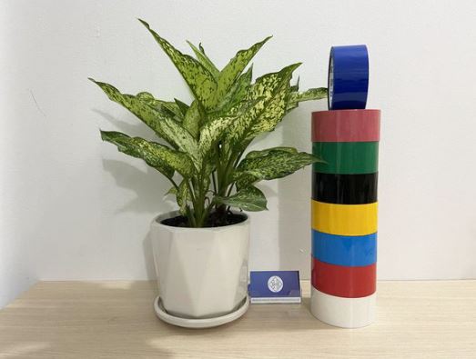 Colored OPP tape