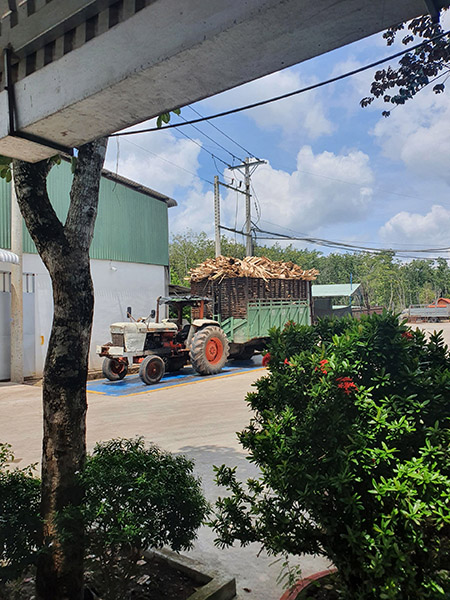 Wood logs transport